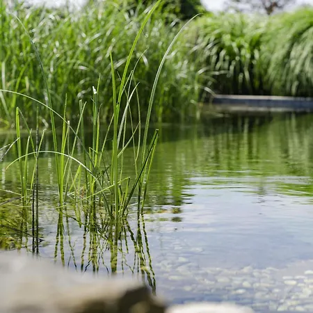 Novotel Lausanne Bussigny Hotel