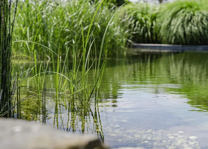 Novotel Lausanne Bussigny Hotell